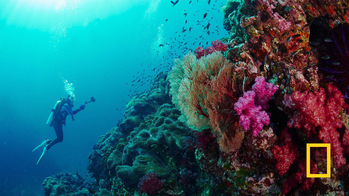 Г/костюм Aqualung "DIVEflex" , моно, 5,5 мм., муж. L